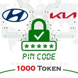 KIA Hyundai online Pincode Pin Code Calculator 1000 Token